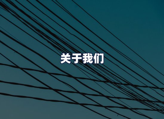 关于我们